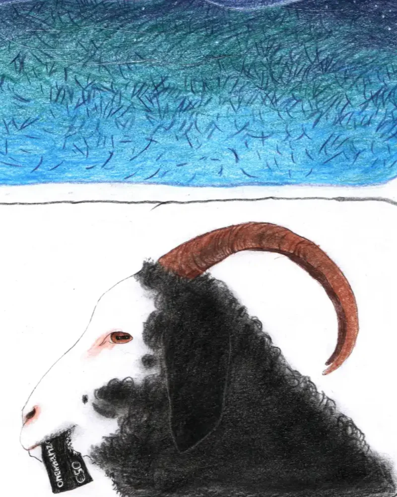 Comisc preview: a black goat